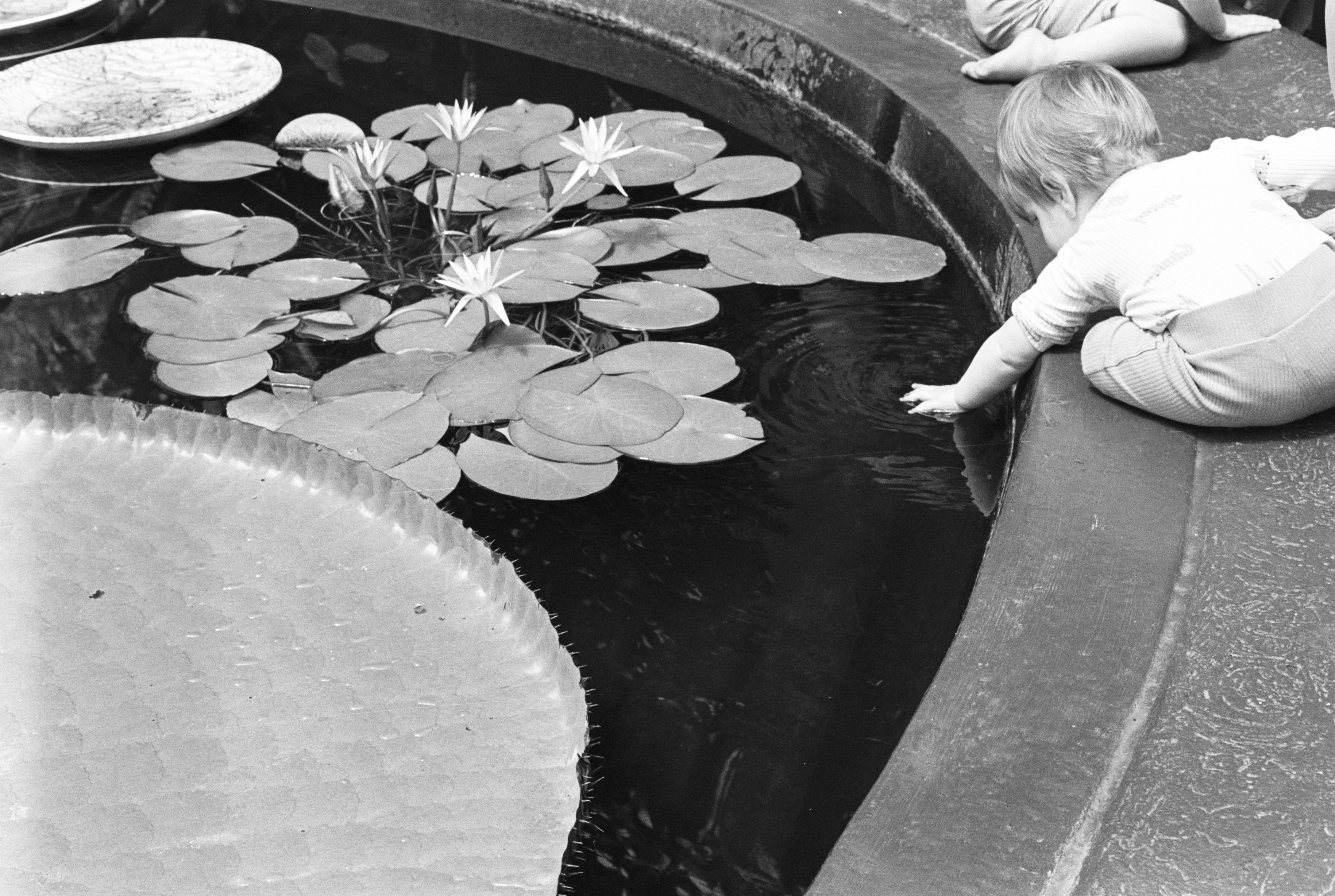 A black and white photo of a child touching a pool of water